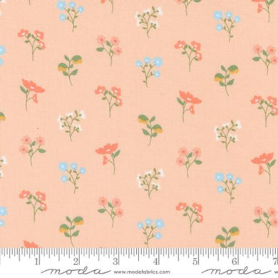 Dainty Meadow 31741 17