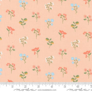 Dainty Meadow 31741 17