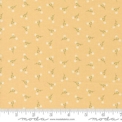 Dainty Meadow 31749 14