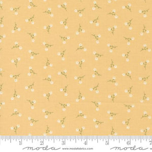 Dainty Meadow 31749 14